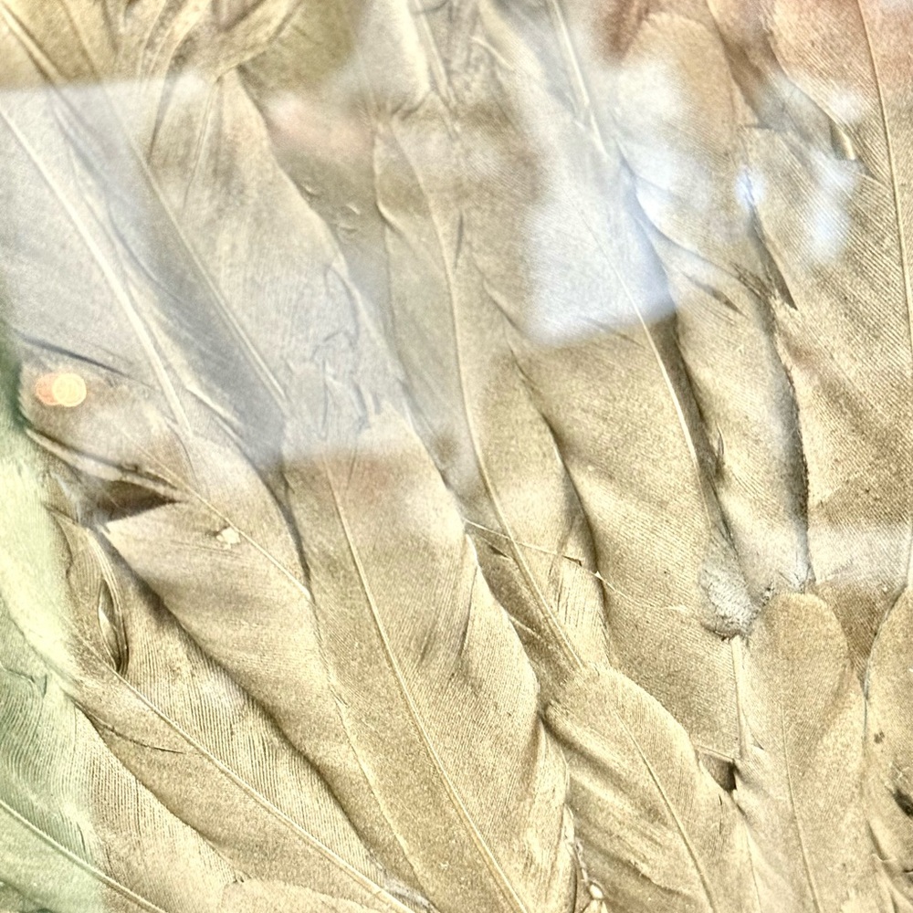 Prof Framed Angel Wings Wall Art Made From Gold Dyed Feathers - 16” x 20” - Picture 2 of 5